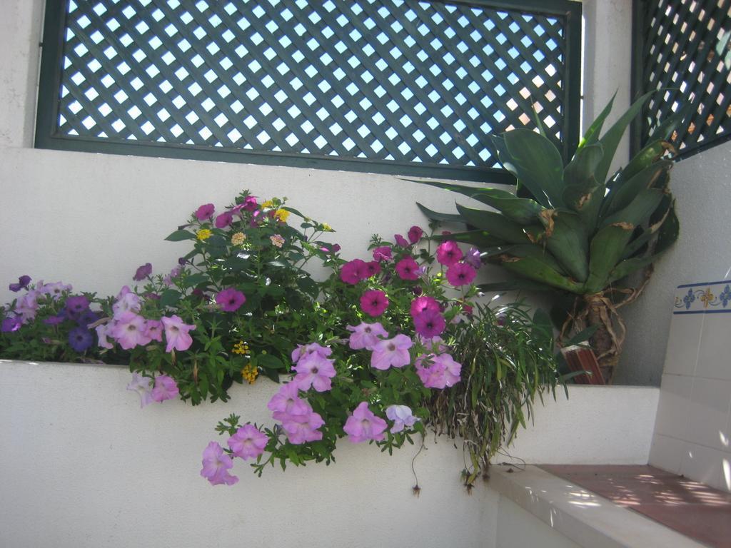 Hotel A Casinha à Areia Branca Extérieur photo